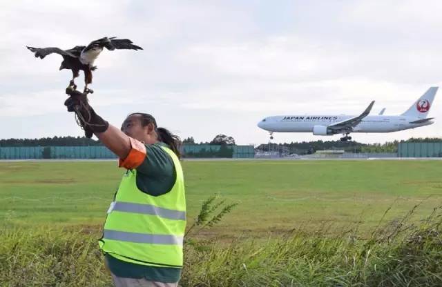 日本航空最近的空难,日本航空最近空难