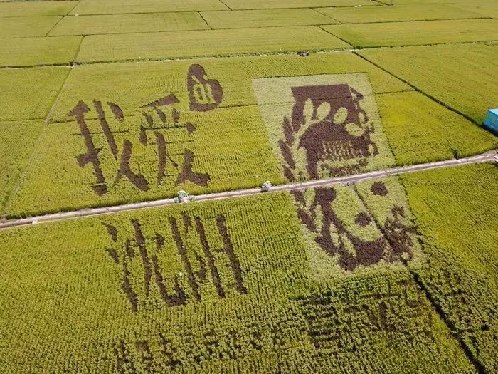 沈阳稻梦空间摄影,沈阳稻梦空间星空