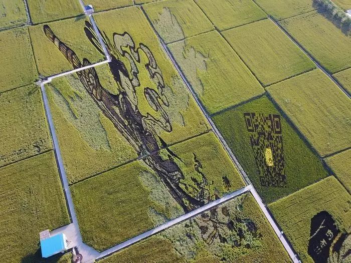 沈阳稻梦空间摄影,沈阳稻梦空间星空