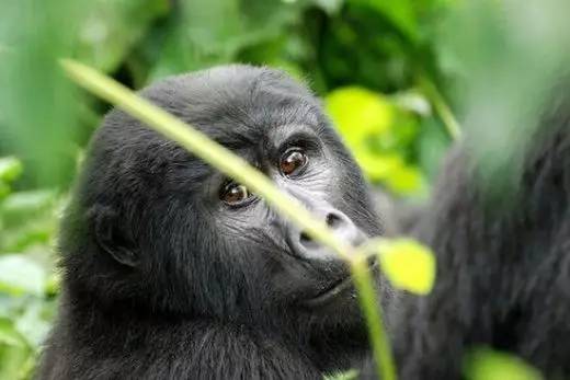 最适合旅行的十大目的地,独自旅行的七大目的地推荐