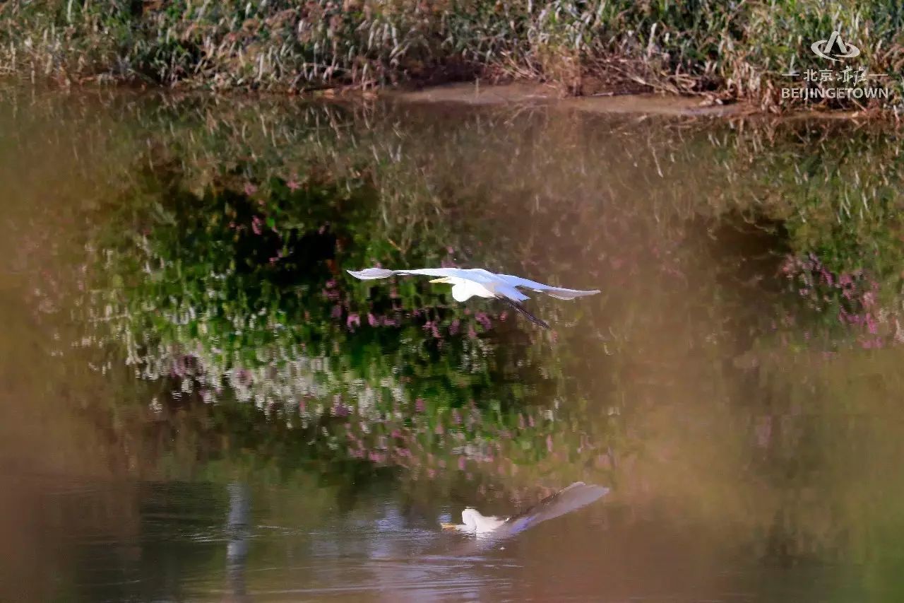 快来领取你的可爱姓氏壁纸,免费领取动态热门主题壁纸
