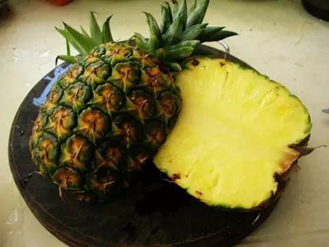 美丽的河口一日游,秋色正好邂逅大美河口