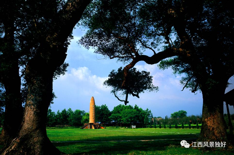 瑞金共和摇篮杯2023,瑞金共和摇篮要不要钱