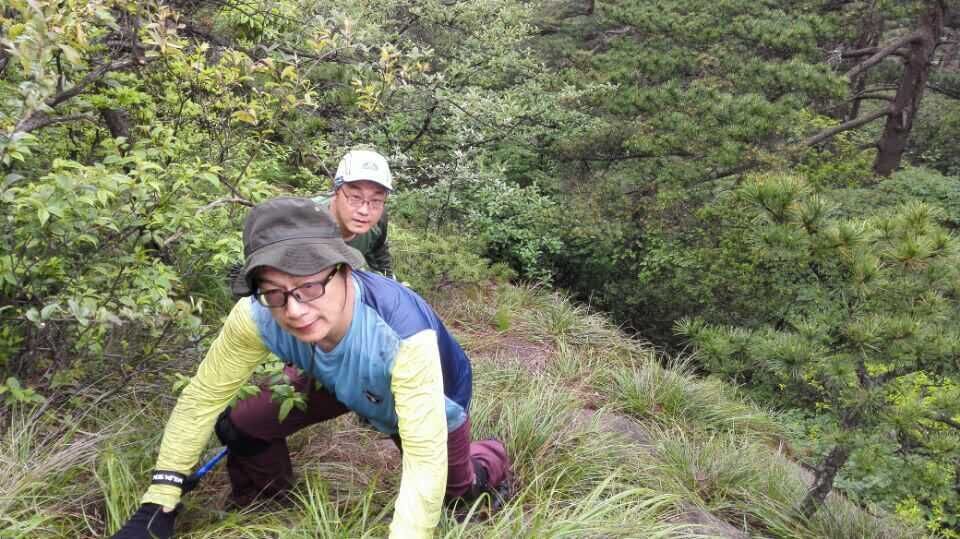 走近你就走进了痛苦出自哪里,走近你就是走近痛苦