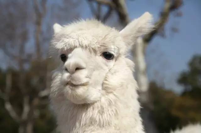 318家全国最新5a景区全名单请收好,带你看全国318家5a景区