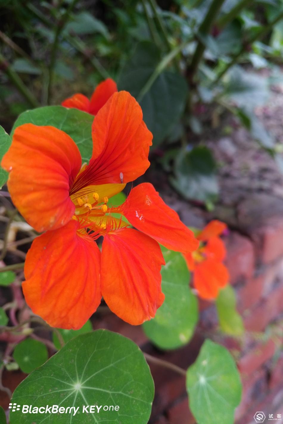 创新和守旧的区别,黑莓手机keyone如何