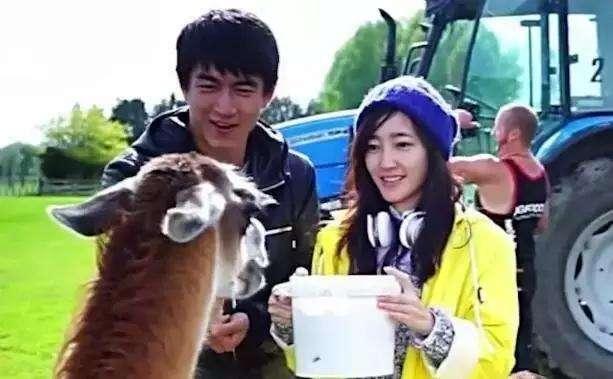 林狗王丽坤最新视频,林更新王丽坤赵丽颖