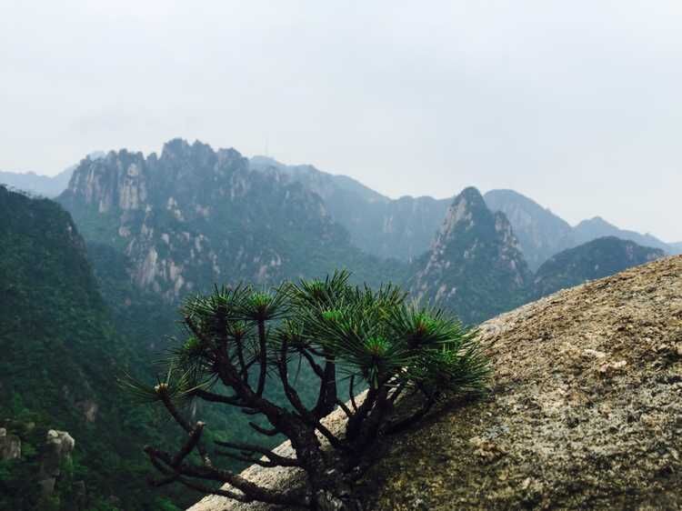 走近你就走进了痛苦出自哪里,走近你就是走近痛苦