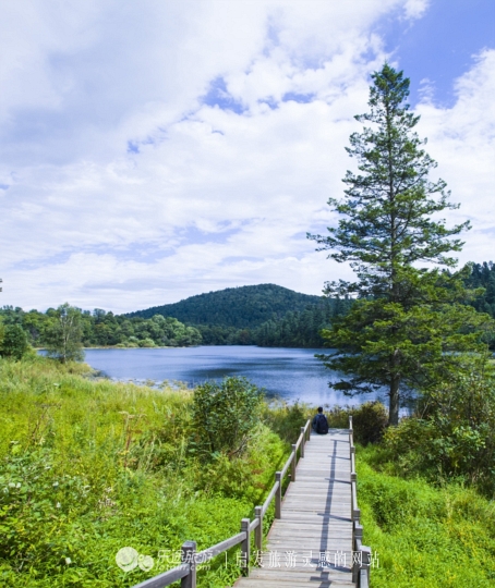 火山口探秘完整视频,镜泊湖火山口免费景点