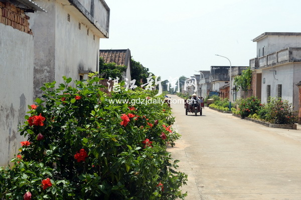 文明新风吹在居民心坎里,文明新风扑面来
