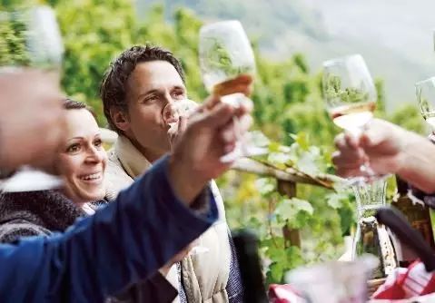 德国无醇葡萄酒,德国葡萄酒排名