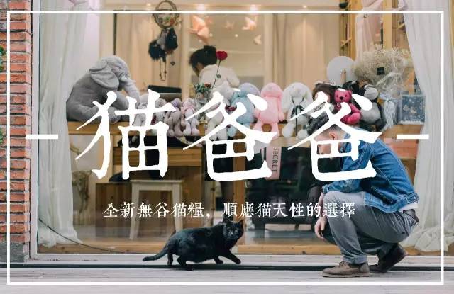 「猫爸百科」喵主子看你上厕所，我想你们是拒绝的！