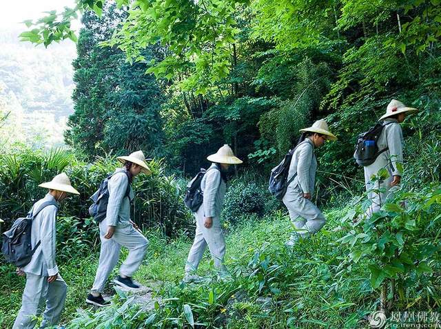 徒步登九华山,九华山徒步朝拜攻略视频