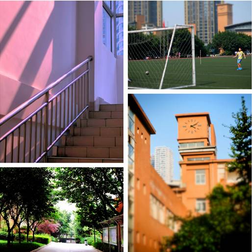 重庆最厉害的六所中学,重庆很厉害的中学