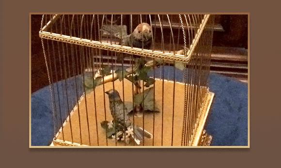 随乐而行新作品,随乐而行