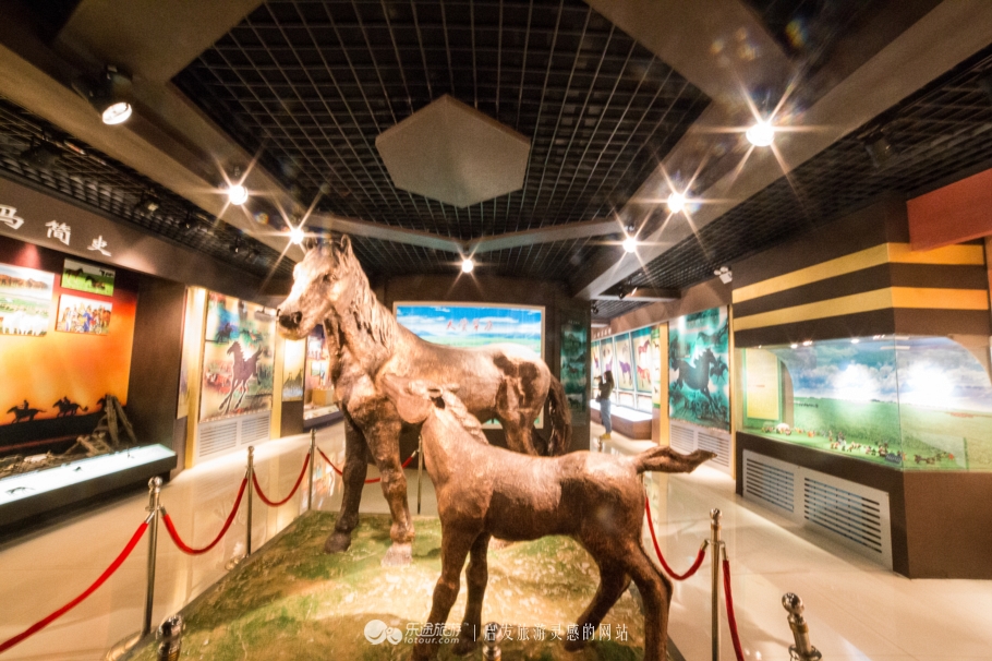 现代中国赤兔马,当代赤兔马