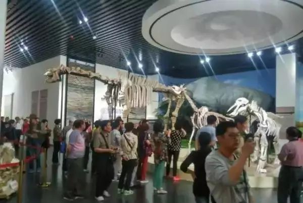 到临夏有哪些可游的好地方,到临夏旅游有哪些必去的景点