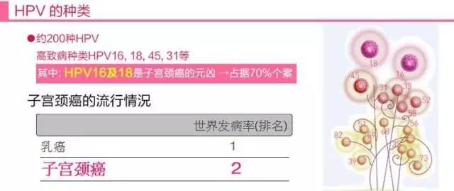 常州九价宫颈癌疫苗,宫颈癌疫苗常州哪里有打