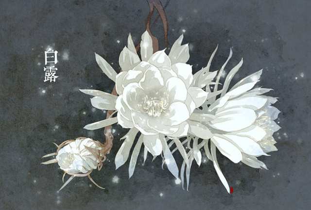 澶滆浜屽崄鍥涜妭姘斾箣鐧介湶,鐧介湶鑺傛皵鍏荤敓