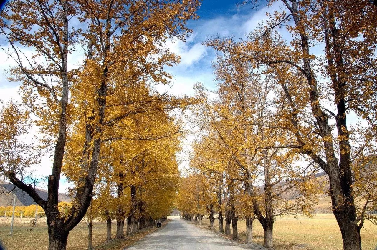 旅游攻略安静,人少风景好的偏冷门旅游地