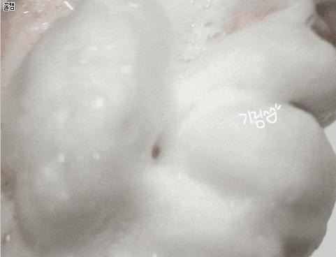 亲测｜什么牌子的洗面奶最好？