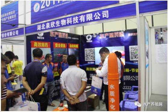 姘翠骇鍏绘畺鍙傚睍浼佷笟,姘翠骇鍔ㄤ繚浼佷笟鑱氶姝︽眽