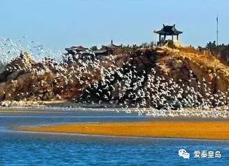 旅发大会硕果累累！孟书记用10个“比如”，向世界展示秦皇岛！