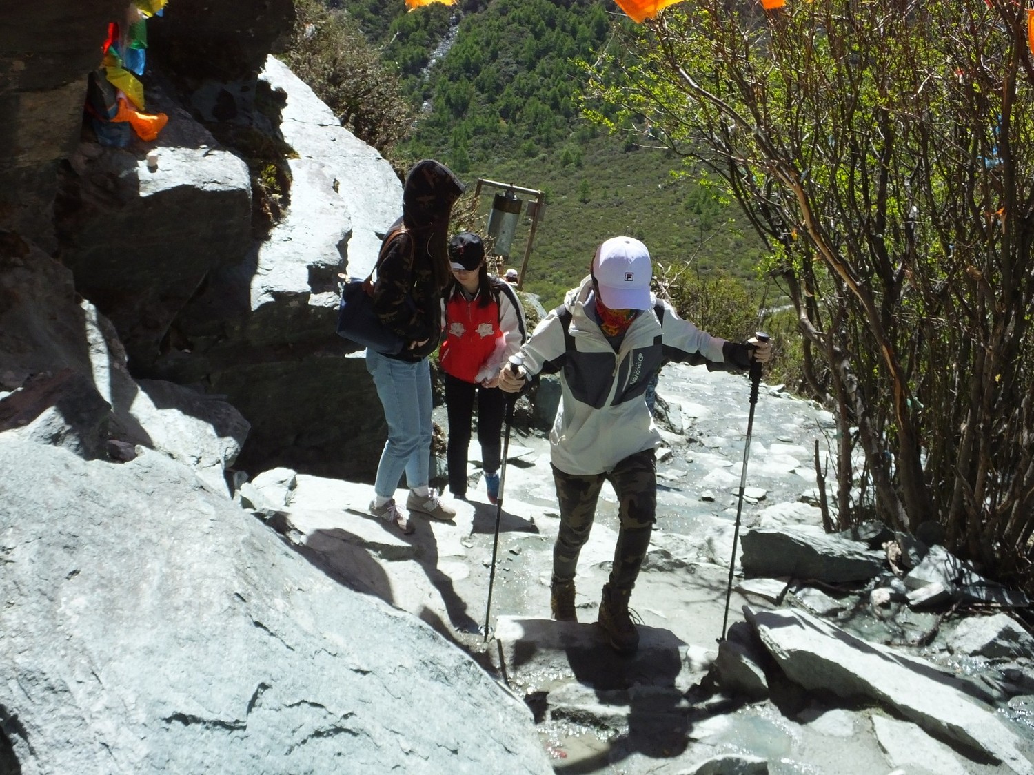 泸亚东线沿途风景,泸亚线穿越原始森林