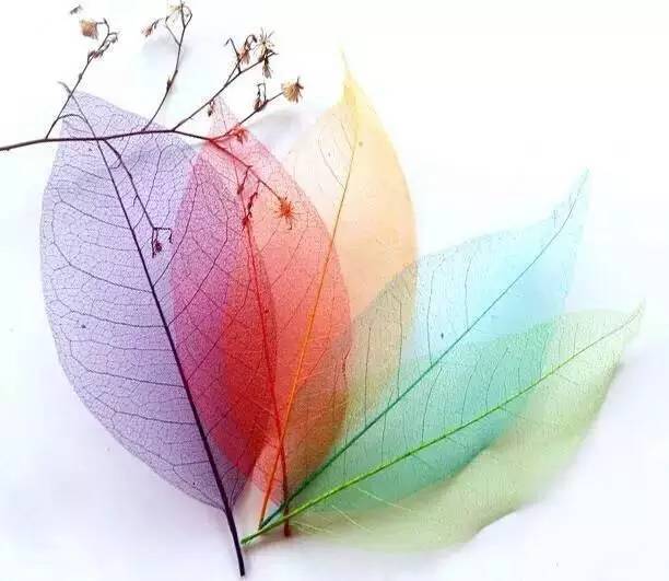 春夏秋冬自制的书签,秋天书签diy