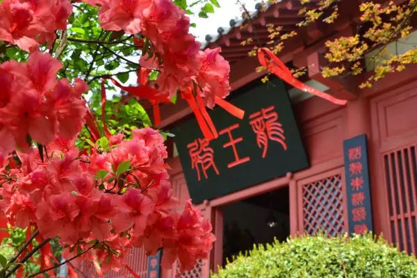 灞变笢鐪侀潚宀涘競鐞呯悐鍙伴鏅尯,鐞呯悐鍙伴鏅尯闈掑矝