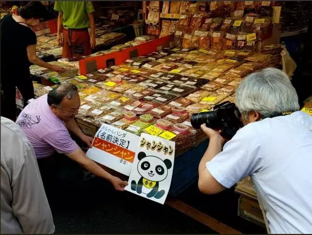 熊猫宝宝起名字是怎么由来的,2021年所有熊猫宝宝名字