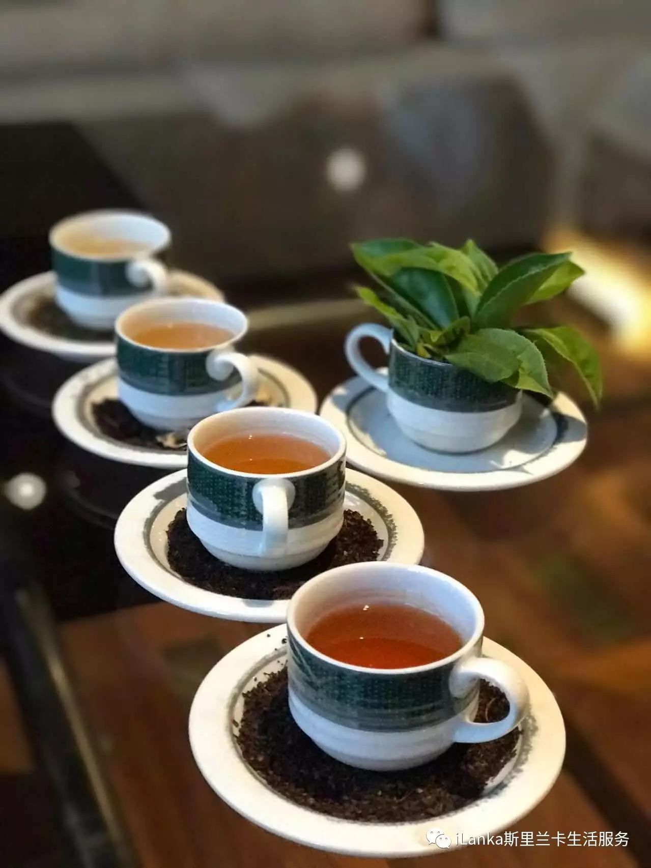 斯里兰卡古代历史,斯里兰卡历史文化