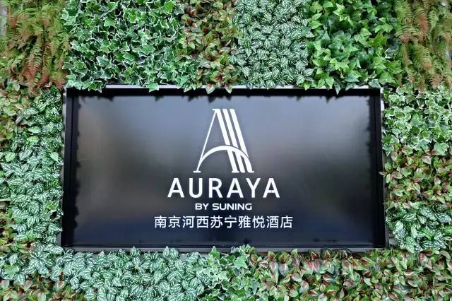 这14家只开了一家店的酒店品牌，你不认识就Out了