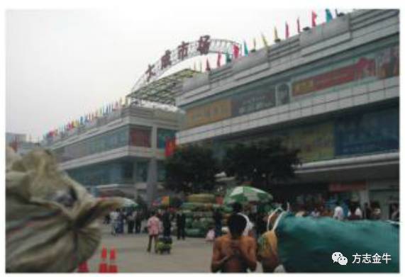 成都荷花池市场前景,成都荷花池批发市场起源