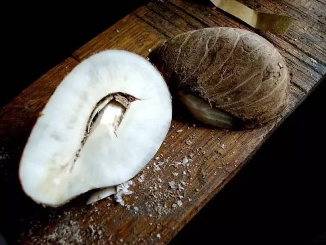 象牙果工艺品好吗,雕刻艺术果雕