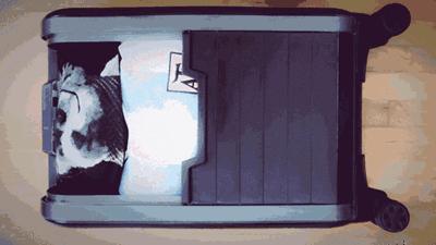 想要说走就走可是却没了勇气,想要说走就走的旅行