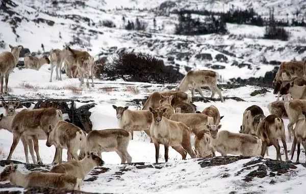 移居海岛的真实感受,移居海岛真实感受