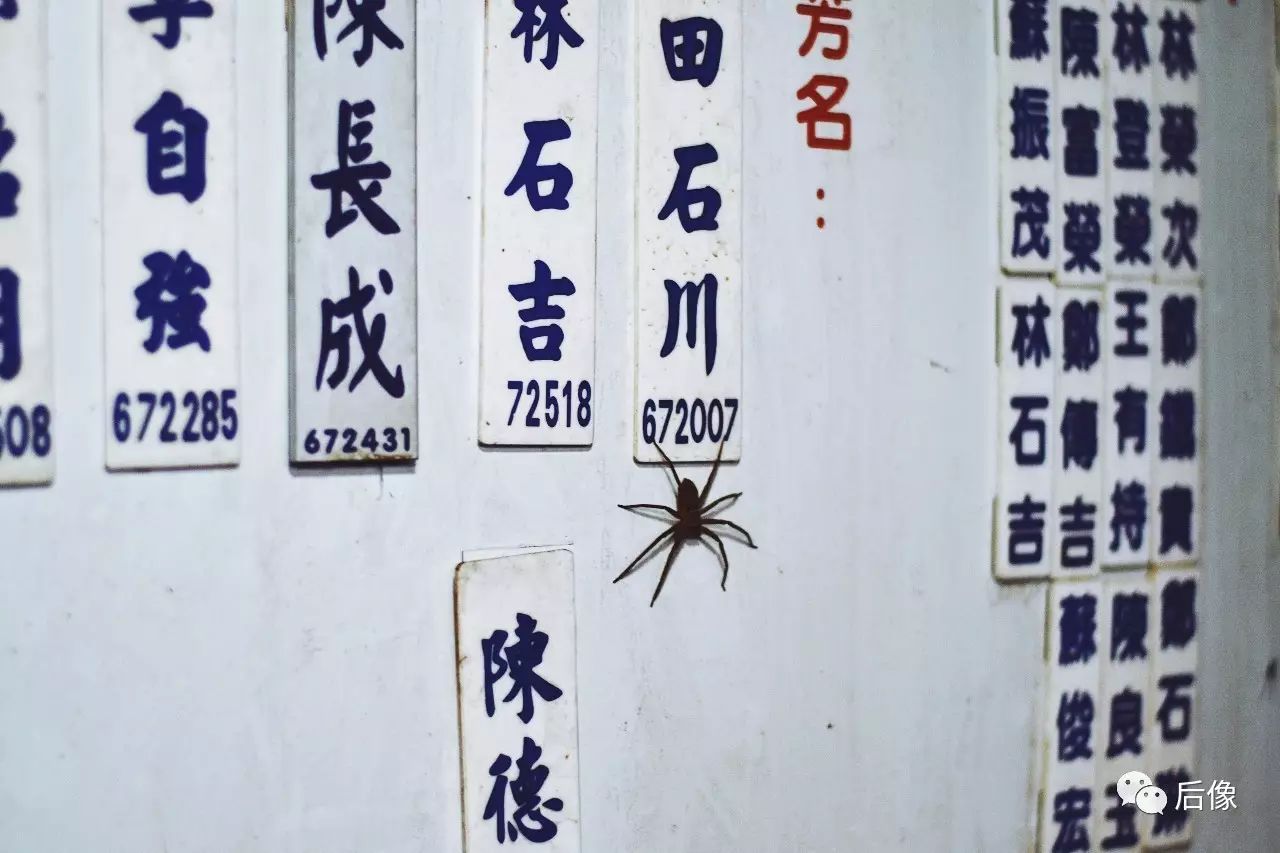 涠洲岛火山岛攻略图文,涠洲岛vs海陵岛哪个好玩