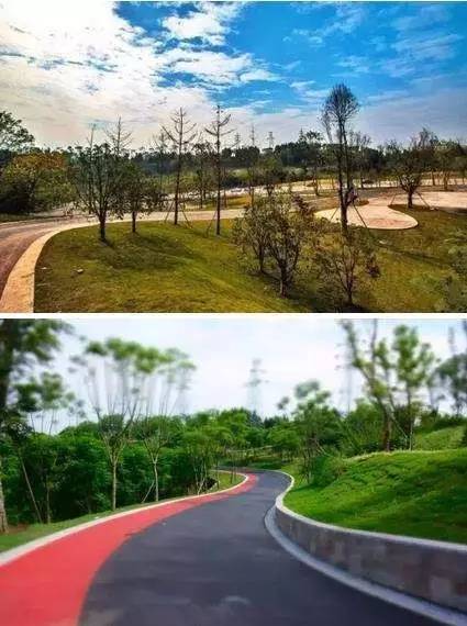 300亿砸向四川这座小城！几年后，这里不得了……