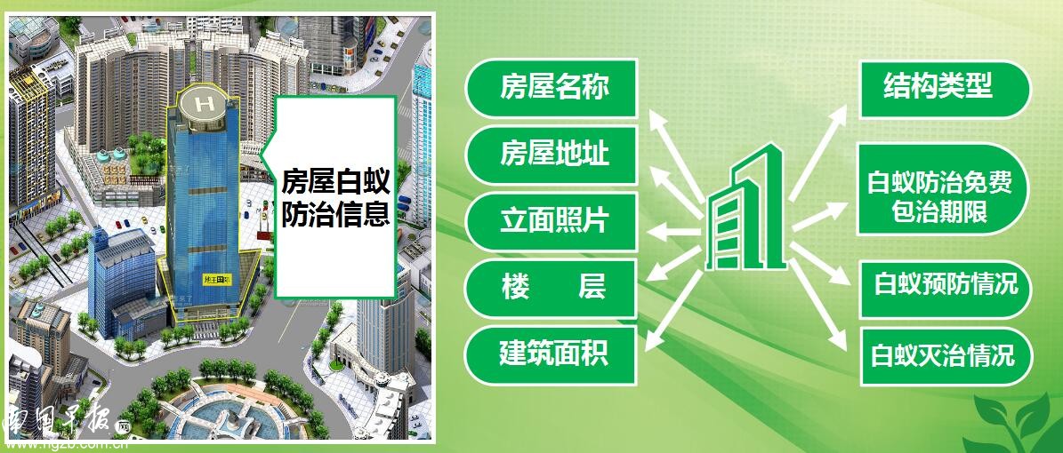 白蚁治理方法,南宁白蚁如何灭