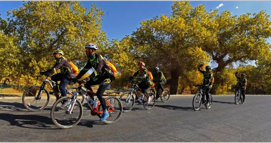 美丽的内蒙古额济纳胡杨林,恋上南山路美图