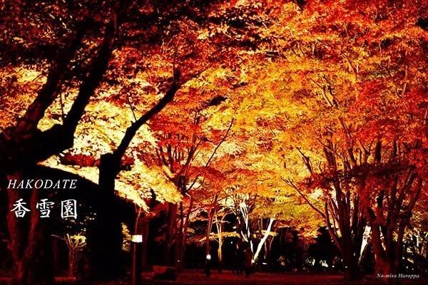 去日本哪个季节去比较好,假如一辈子只能去一次日本