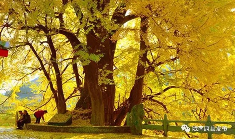 康县美丽的秋天,新县醉美秋景