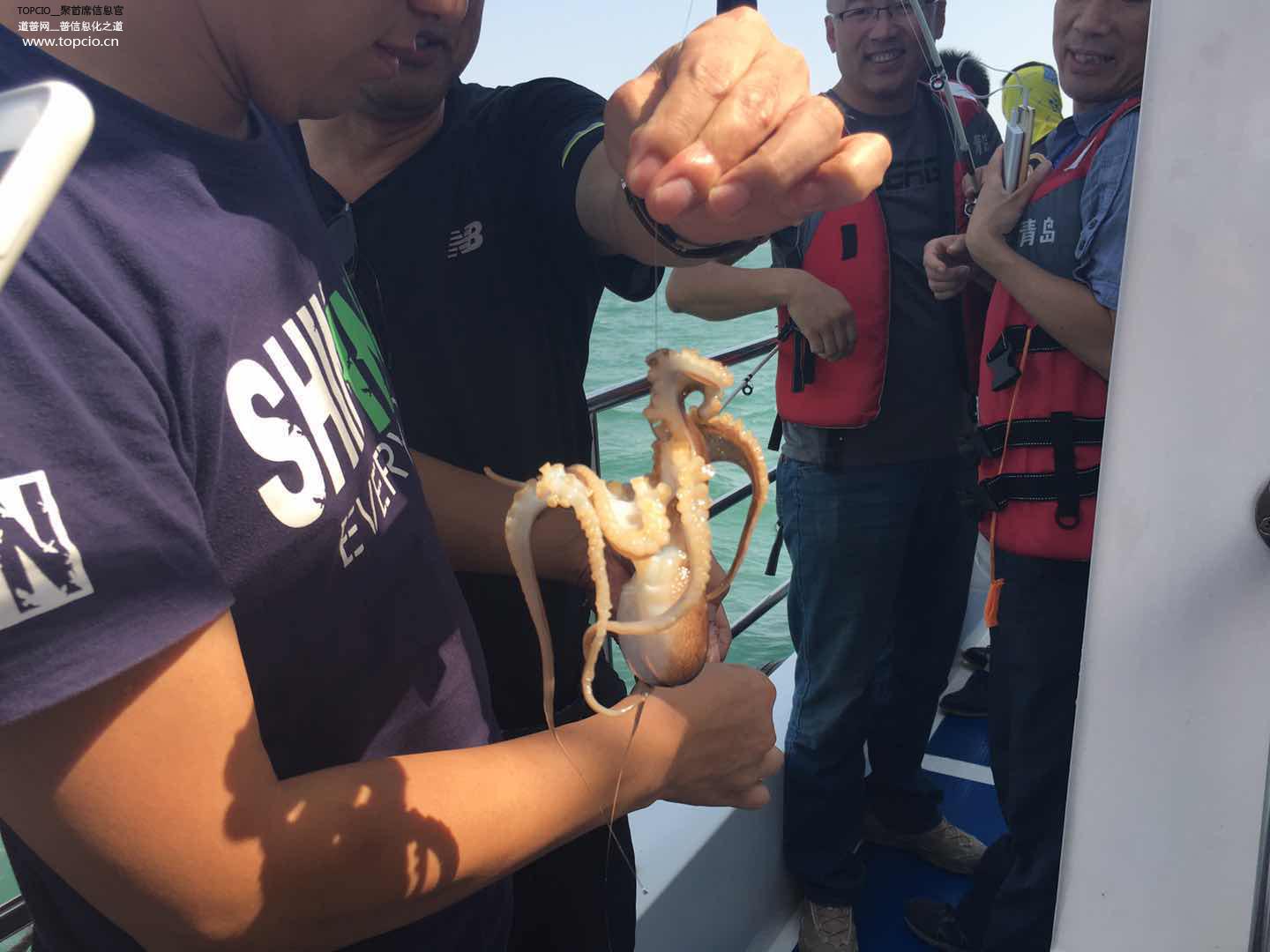 灞变笢cio骞翠細,cio鏅哄簱