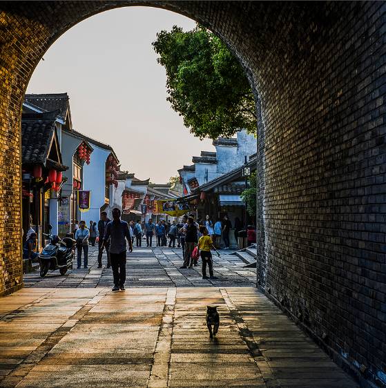 浙江省最低调的一个县,浙江有一座低调的小城