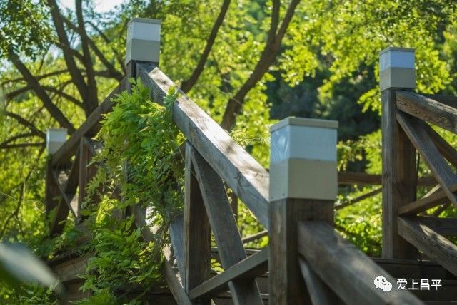 北京昌平十三陵民宿推荐,昌平民宿独立小院20人