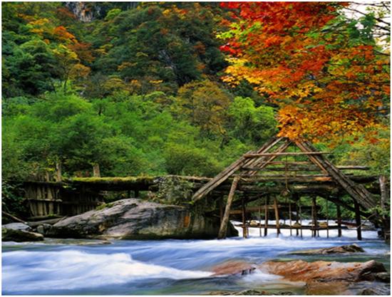 踏秋之旅,宝兴东拉山大峡谷红叶