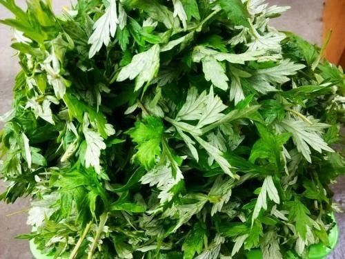 最有规律的健康养生一天时间安排 (假期养生的正确方法)