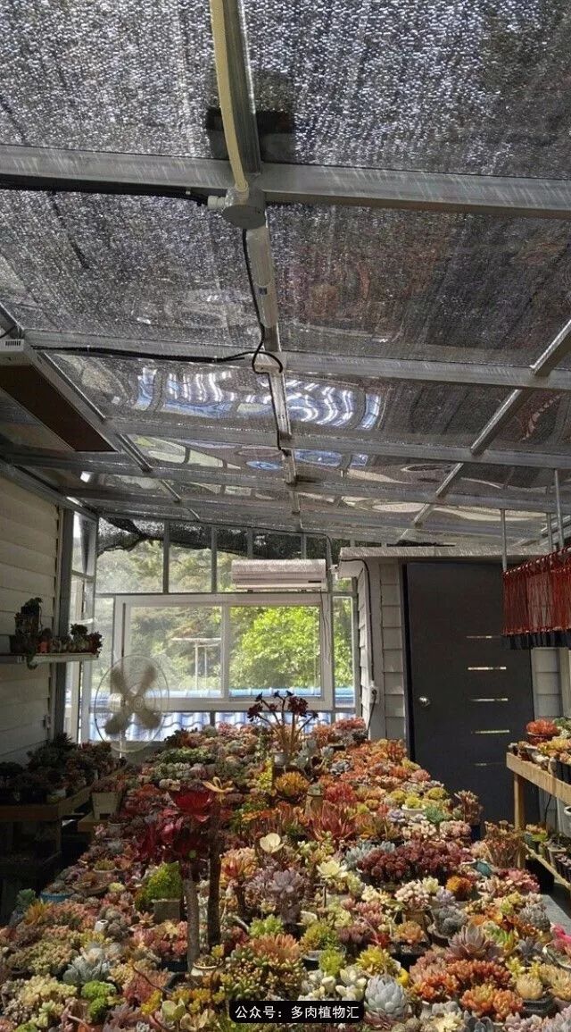 只有见过韩国肉友的阳台，才知道什么叫做物尽其用！