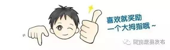 「相约康县」山水间歌声回荡，烟波里久违的故乡